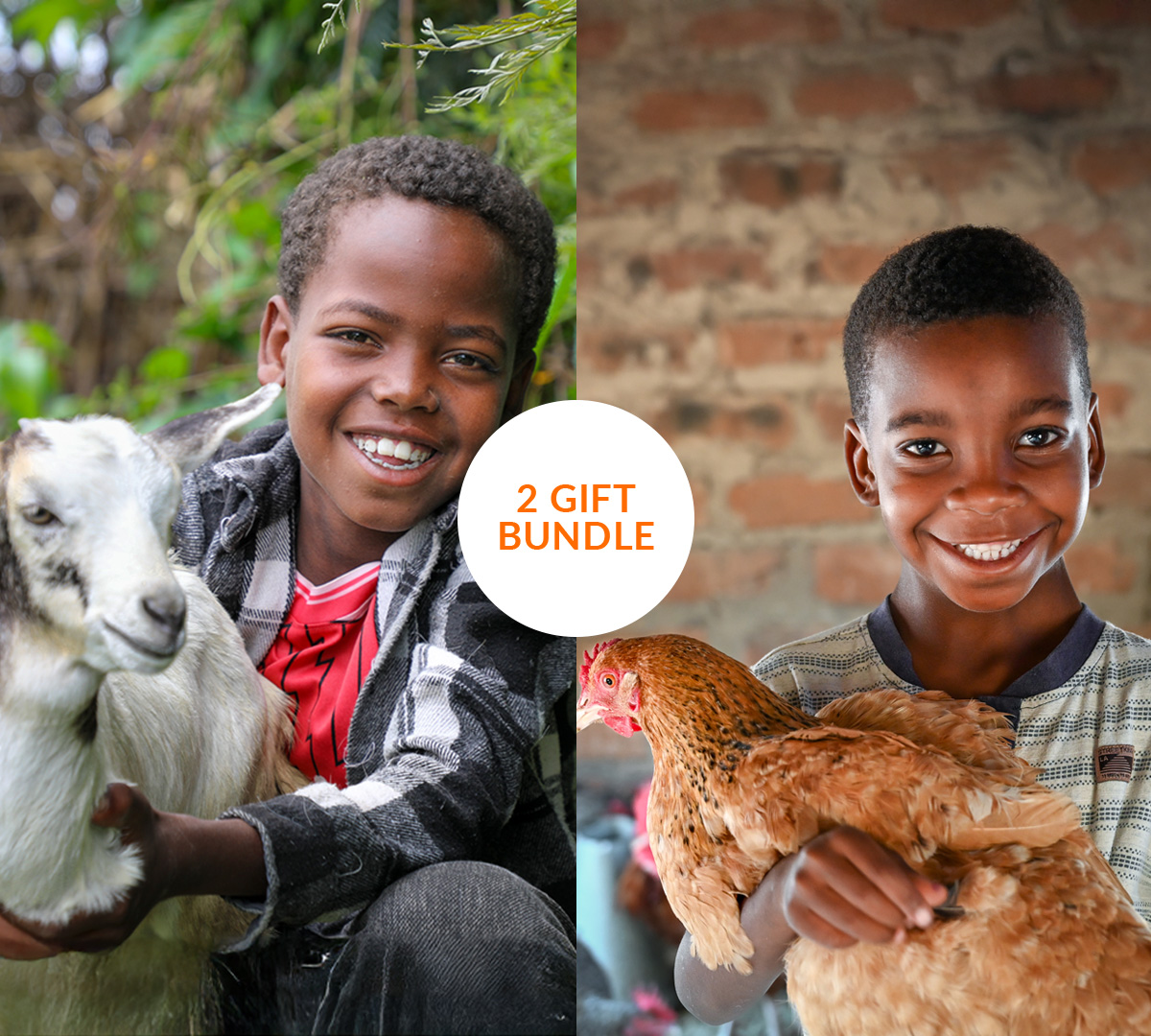 A boy holding a goat and another holding chicken