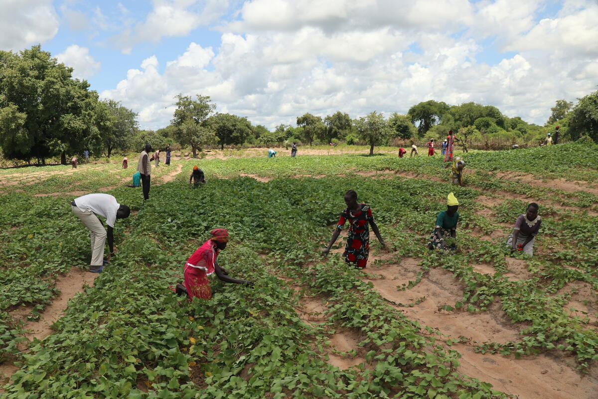 Sudan's refugee crisis | World Vision UK