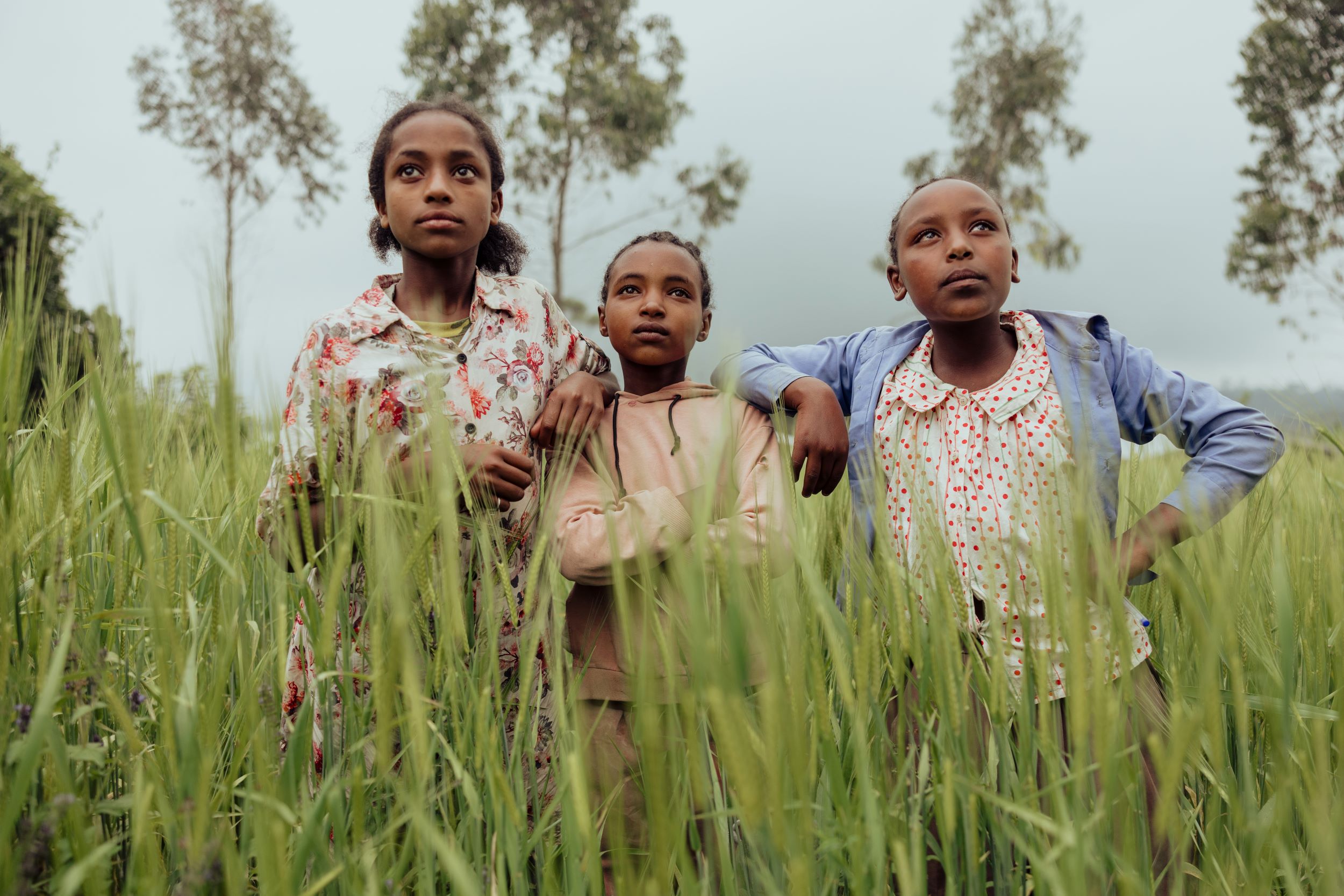 Three sponsored Ethiopian girls standing in tall grass