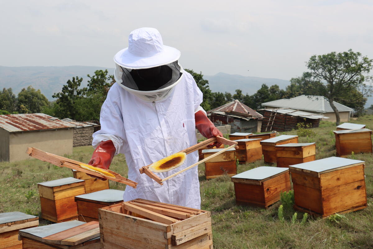 A farmer in their beekeeping kit, attending to a hive, Eswatini